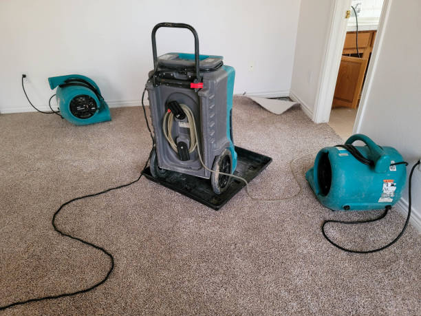Best Water damage restoration experts  in University City, MO