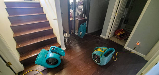 Best Carpet water damage restoration  in University City, MO