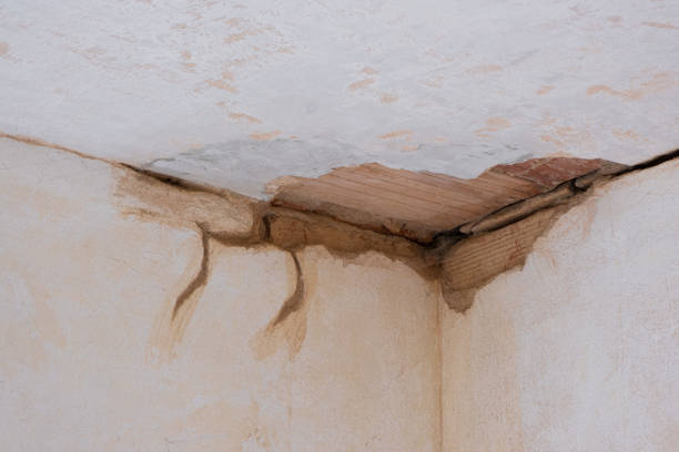 Best Ceiling water damage repair  in University City, MO