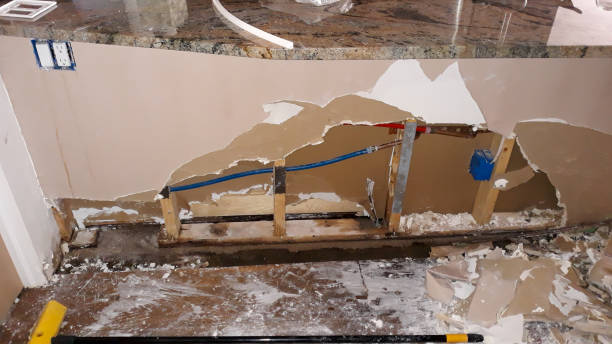 Best Water damage cleanup near me  in University City, MO