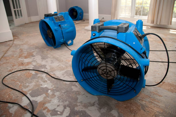 Best Water damage contractors near me  in University City, MO