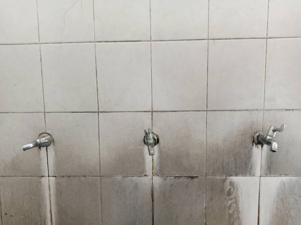 Carpet water damage restoration in MO