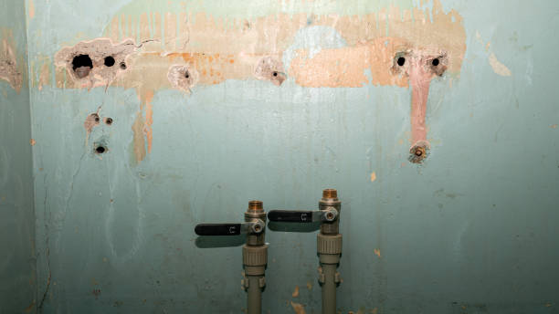 Best Flood restoration services  in University City, MO