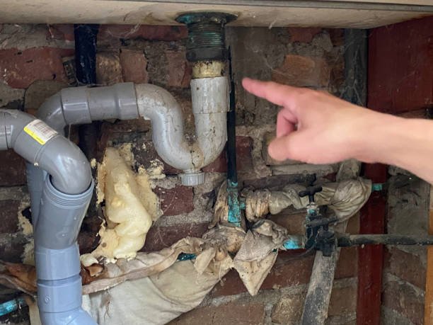 Best Basement water damage restoration  in University City, MO