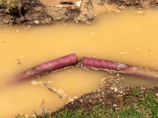 Best 24-hour water damage restoration  in University City, MO