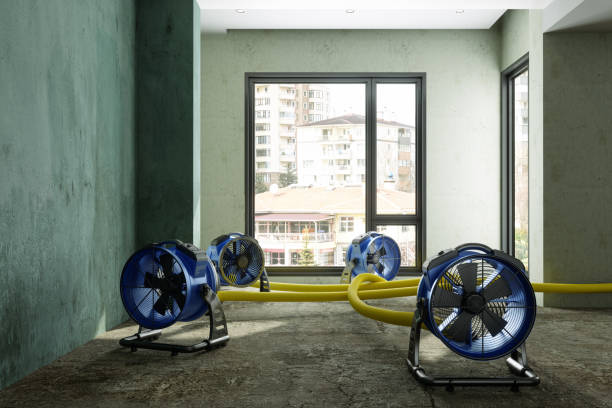 Best Commercial water damage restoration  in University City, MO