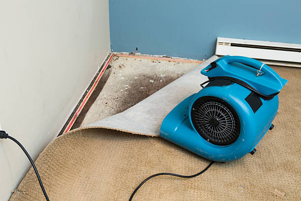 , MO Water damage restoration Company